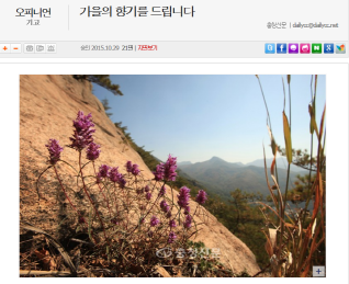 기고 - 가을의 향기를 드립니다.(청주시서원구선관위 사무국장 김학주)