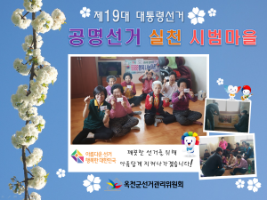 제19대 대통령선거 공명선거 실천 시범마을 지정