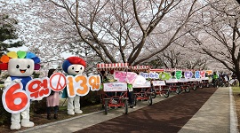 「벚꽃과 함께하는 아름다운 선거」캠페인 개최