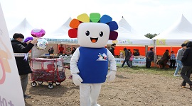 제주 가시리 유채꽃 축제를 이용한 홍보캠페인 실시
